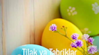 Изображение 0 для 