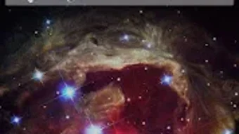 Bild 0 för 