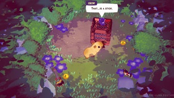  için 0 numaralı resim