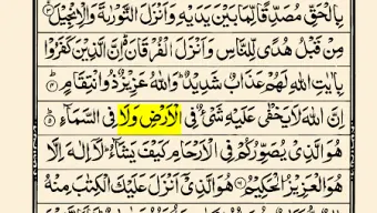 Urdu Quran (15 lines per page)