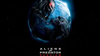 Fond d’écran Alien VS Predator (1)