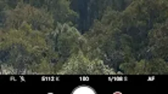 の画像0