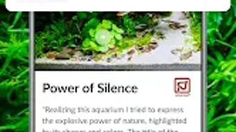 的第0张图片