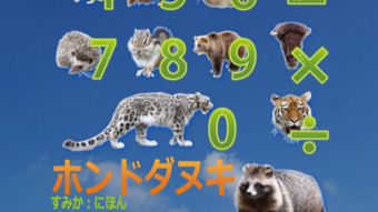 の画像0