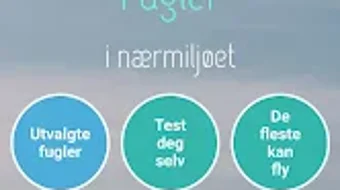 Bild 0 för 