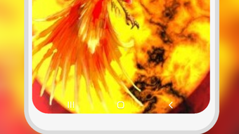 Bild 0 för 
