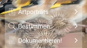 Afbeelding 0 voor 
