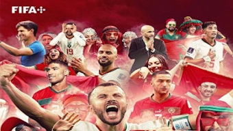 الصورة 0 لـ 
