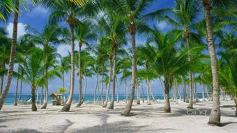 Imagem 0 para 