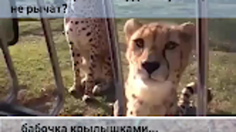 الصورة 0 لـ 