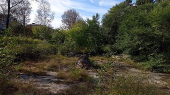 Bild 0 för 