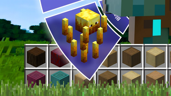 Morph Mods Maps for Minecraft pour iPhone - Télécharger