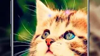 Imagem 0 para 