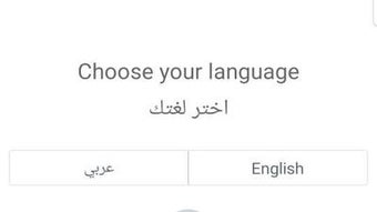 الصورة 0 لـ 