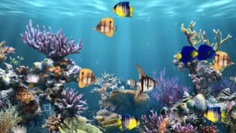 Aquarium Animated Wallpaper