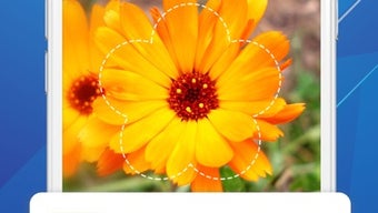 Imagem 0 para 