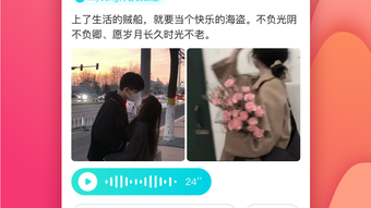 의 이미지 0