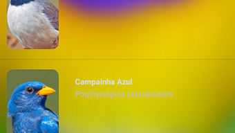  için 0 numaralı resim