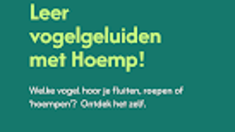 Afbeelding 0 voor 