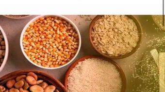 الصورة 0 لـ 