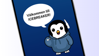 Bild 0 för 