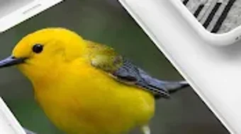 الصورة 0 لـ 