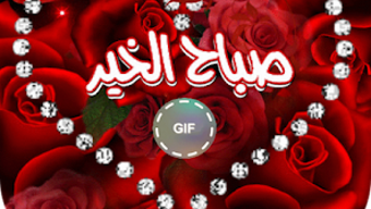 الصورة 0 لـ 