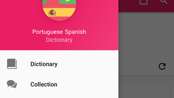 Portuguese Spanish Dictionary