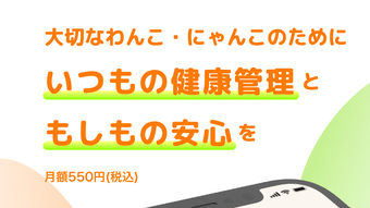 の画像0