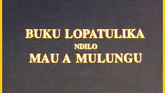 Buku Lopatulika Chichewa Bible