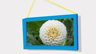 Imagem 0 para 