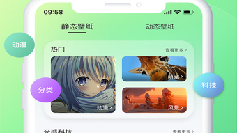 의 이미지 0