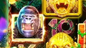 รูปภาพ 0 สำหรับ 