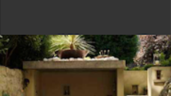 Imagen 0 para 