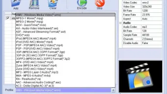 Opell Video to AVI MPEG MOV RM FLV iPod PSP 3GP Zune Converter
