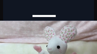 الصورة 0 لـ 