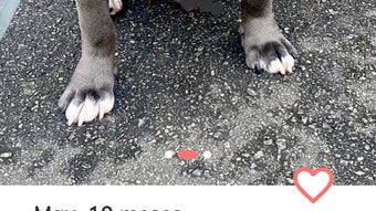 Bild 0 för 