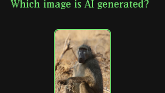 Human or Not
