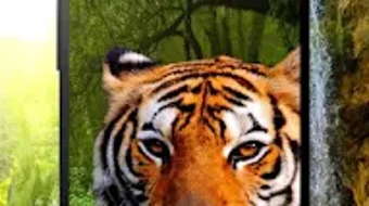 Imagem 0 para 