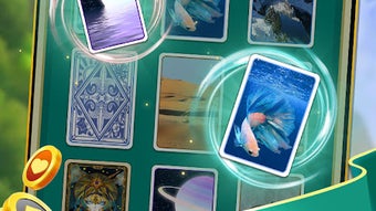 รูปภาพ 0 สำหรับ 