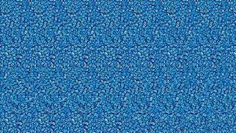 Bild 0 für 