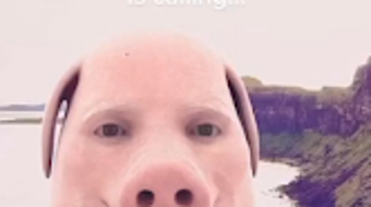 Bild 0 för 