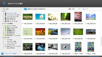 の画像0