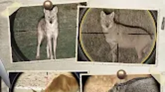  için 0 numaralı resim