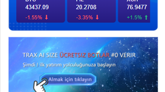  için 0 numaralı resim
