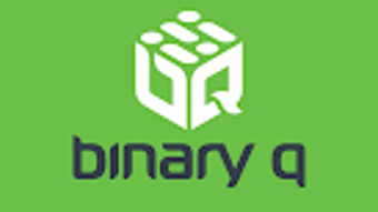 BinaryQ