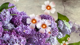 Flower Clock Live Wallpapers