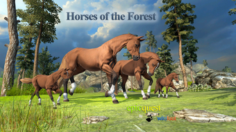 Horses of the Forest