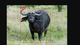 Image 0 for 