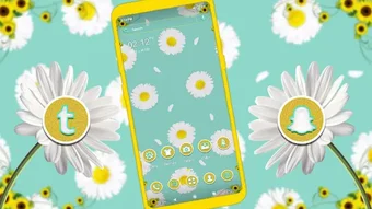 Daisy Flower Theme